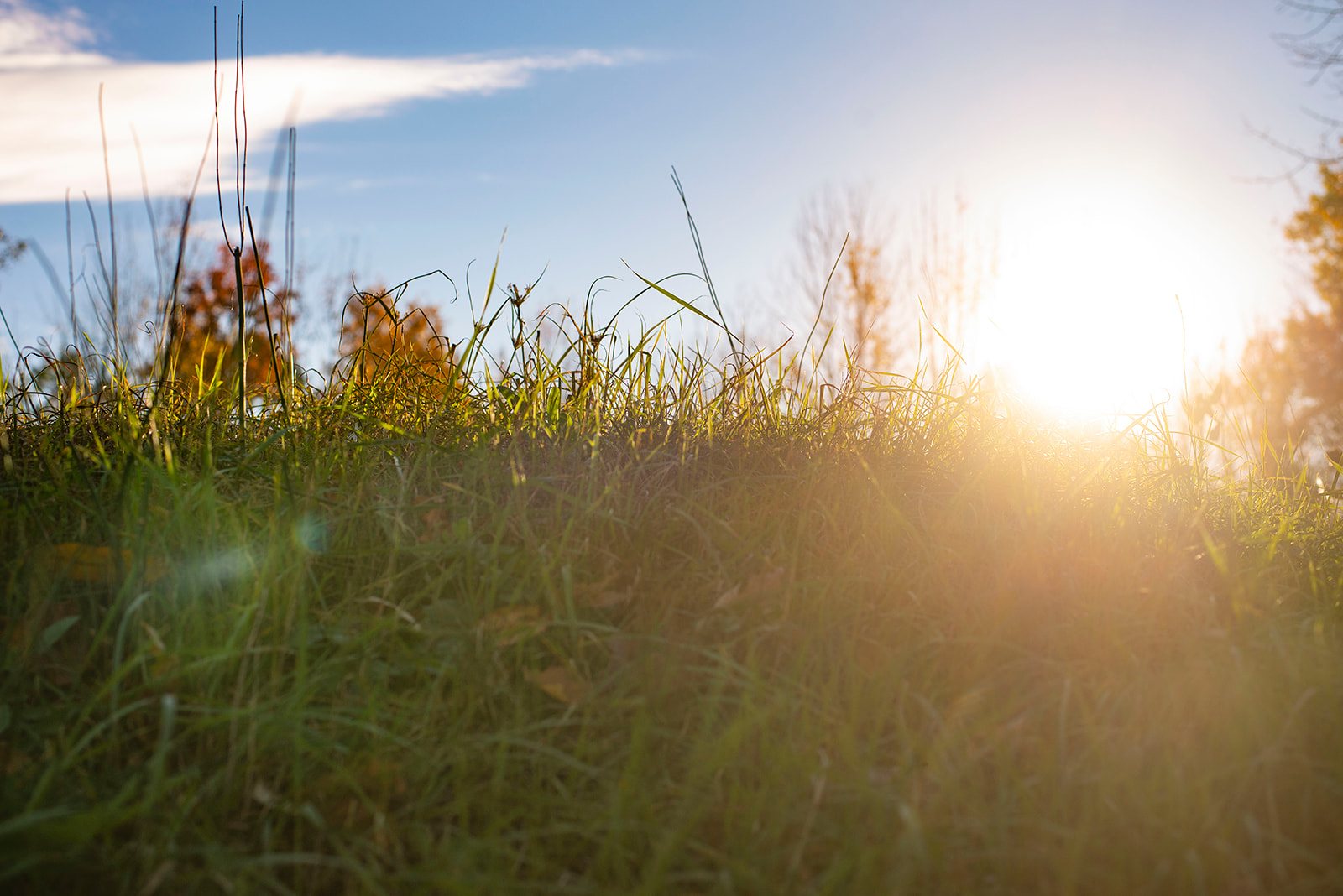 The sun rises over a hill.